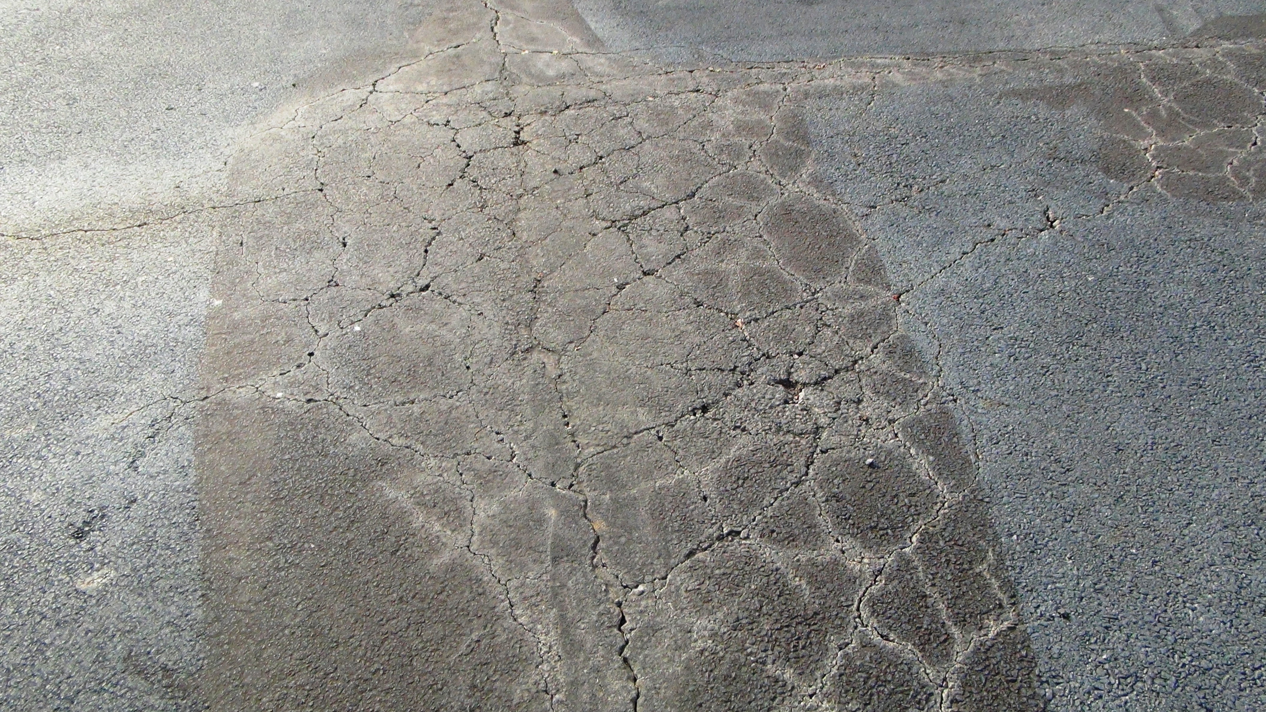 Different Types of Asphalt Distresses & How to Treat Them
